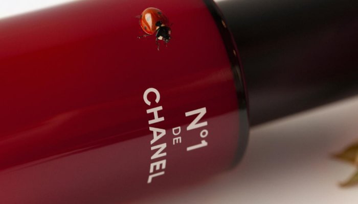 Chanel lança N°1, linha de beleza com produtos naturais e embalagens ecológicas Chanel lança N°1, linha de beleza com produtos naturais e embalagens ecológicas