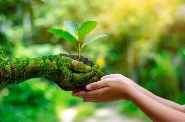 Cuidar do Meio Ambiente é um compromisso de 365 dias por ano Cuidar do Meio Ambiente é um compromisso de 365 dias por ano