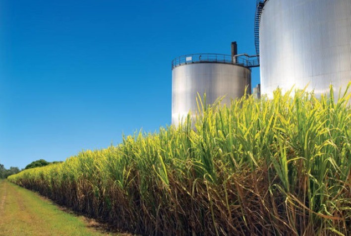 Honeywell anuncia cinco novas plantas produtoras de SAF a partir de fontes renováveis Honeywell anuncia cinco novas plantas produtoras de SAF a partir de fontes renováveis