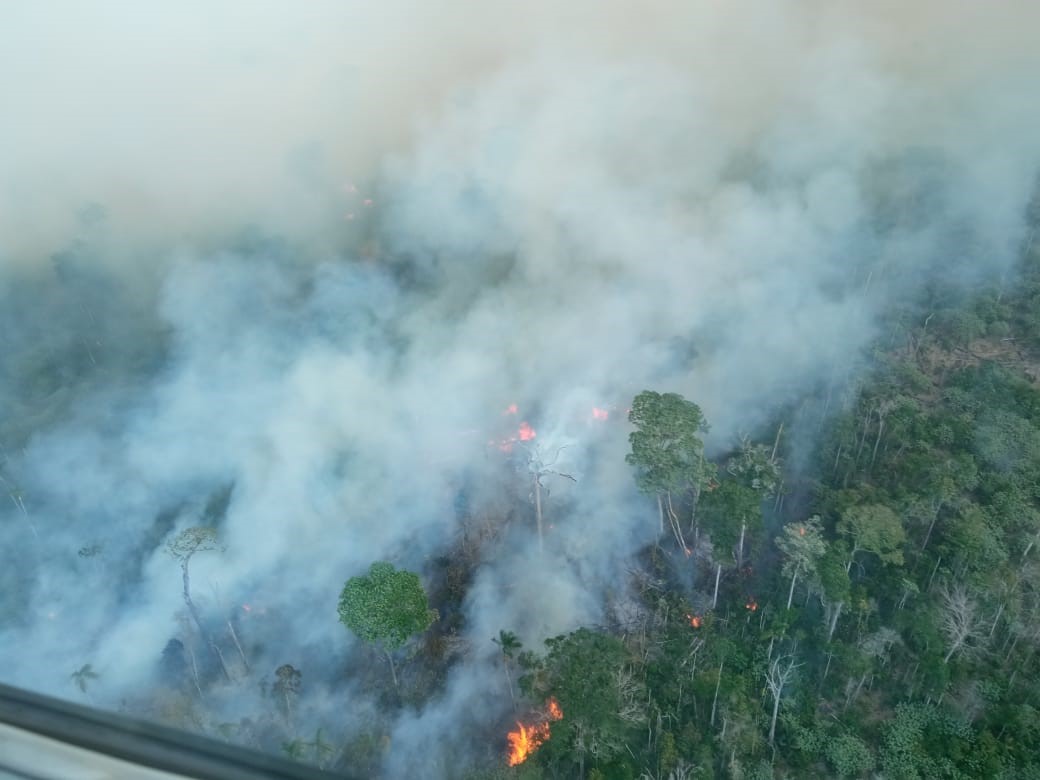 A agropecuária e a devastação ambiental no Brasil A agropecuária e a devastação ambiental no Brasil
