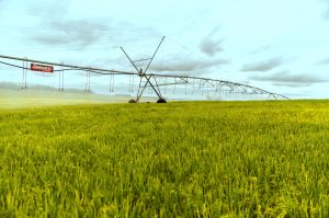 Setor da irrigação impulsiona indústrias no Brasil: parcerias estratégicas e desenvolvimento Setor da irrigação impulsiona indústrias no Brasil: parcerias estratégicas e desenvolvimento