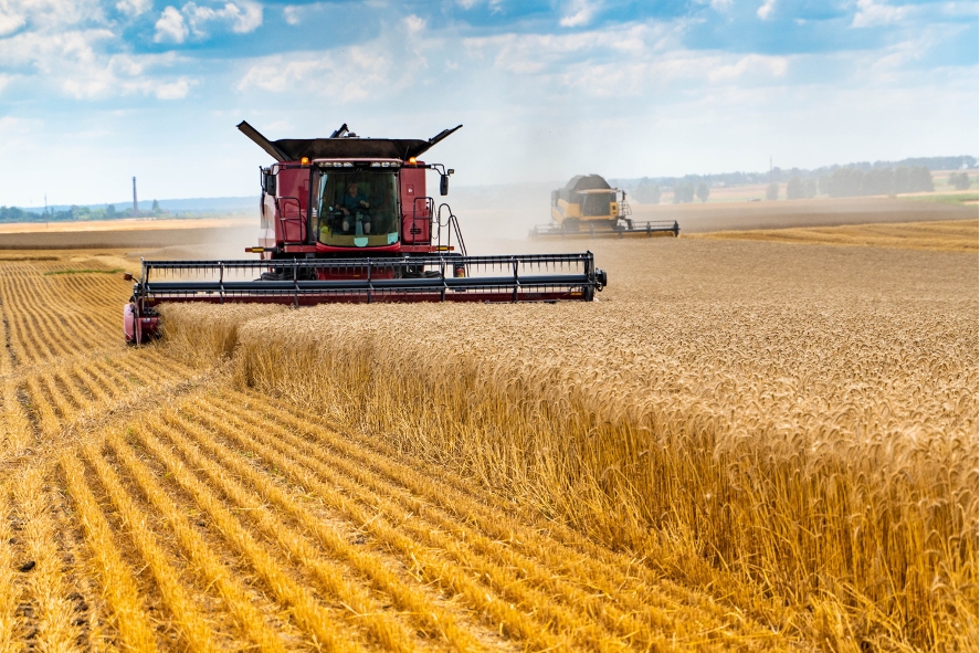 Dia Mundial da Agricultura: Como reduzir paradas inesperadas durante a safra Dia Mundial da Agricultura: Como reduzir paradas inesperadas durante a safra